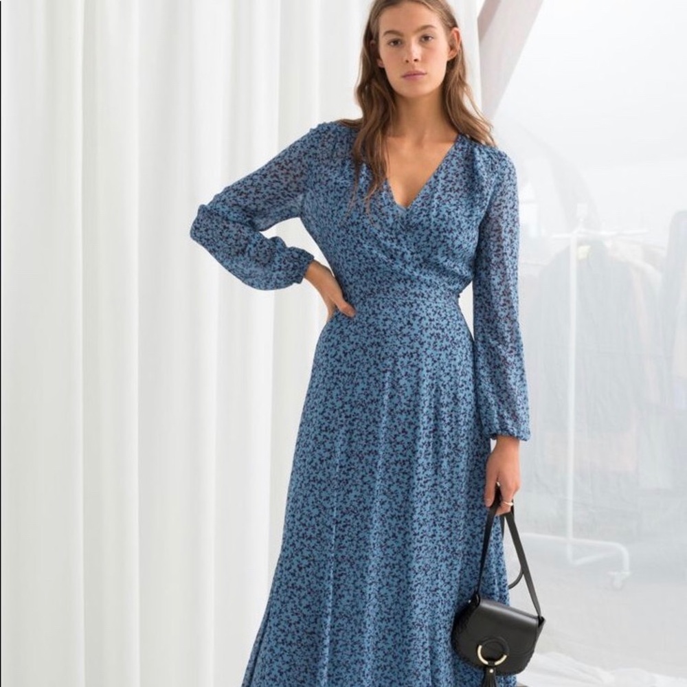 NWT & Other Stories Sheer Printed Midi Dress